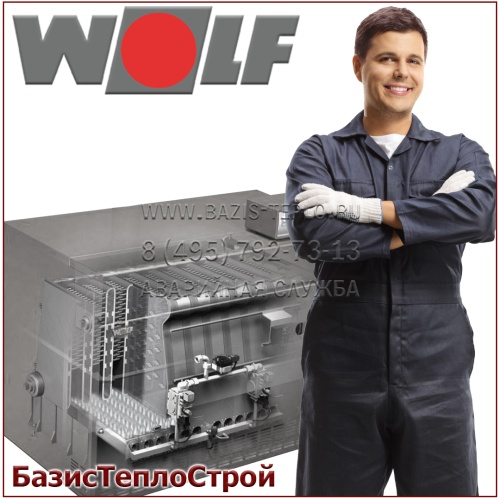 Обслуживание Wolf NG