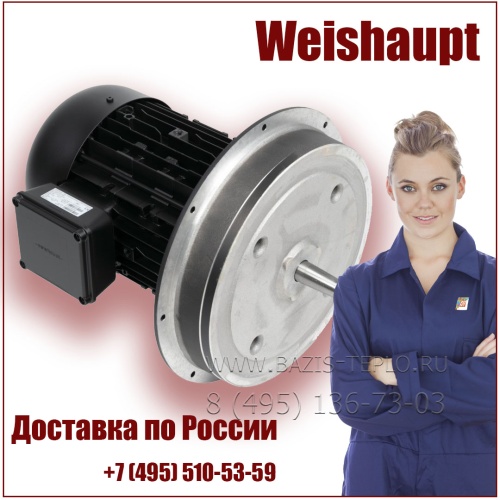 Электродвигатель Weishaupt, 652026