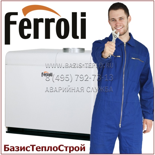 Обслуживание Ferroli Pegasus D