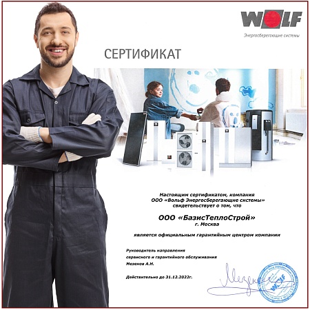 Заменить теплообменник Wolf